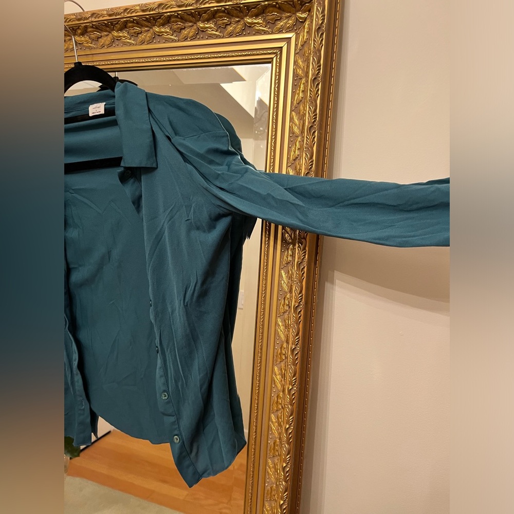 Aritzia Button Down